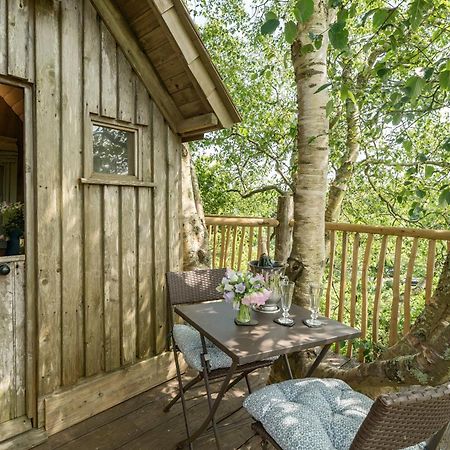 הוילה The Treehouse At Salcombe Farm מראה חיצוני תמונה