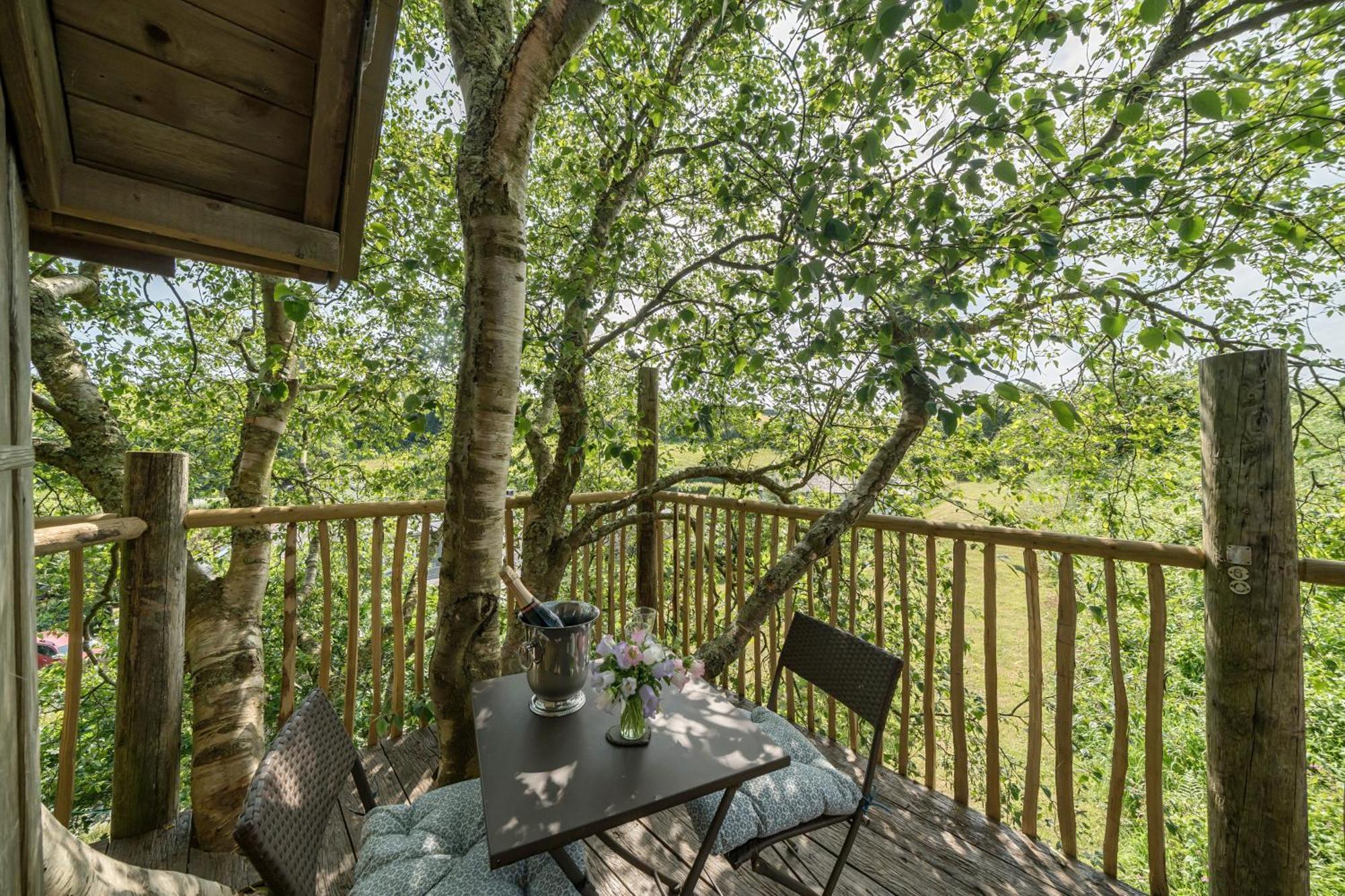 הוילה The Treehouse At Salcombe Farm מראה חיצוני תמונה