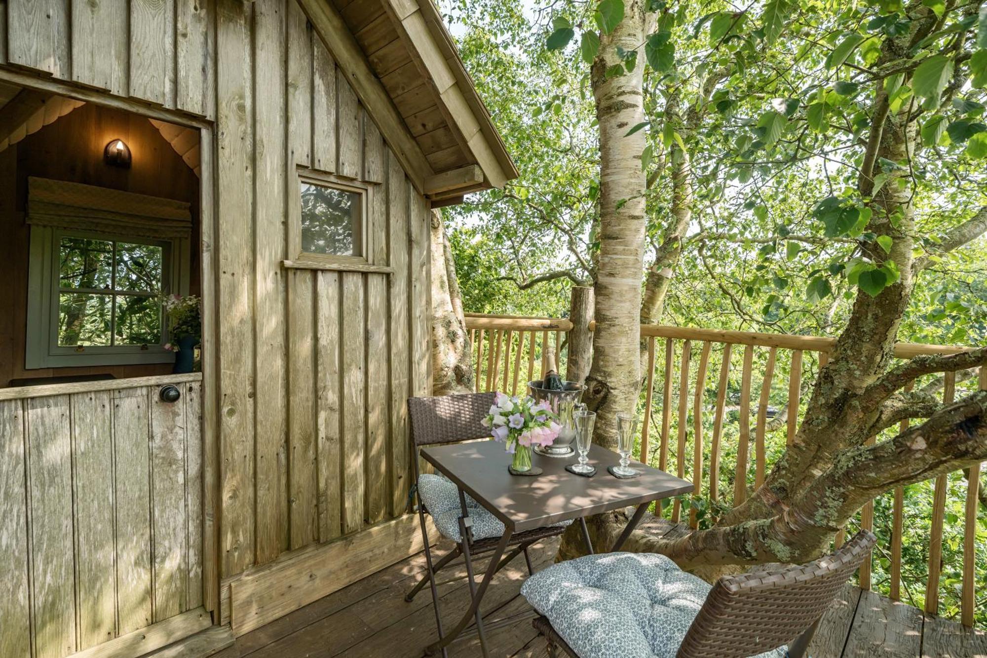 הוילה The Treehouse At Salcombe Farm מראה חיצוני תמונה