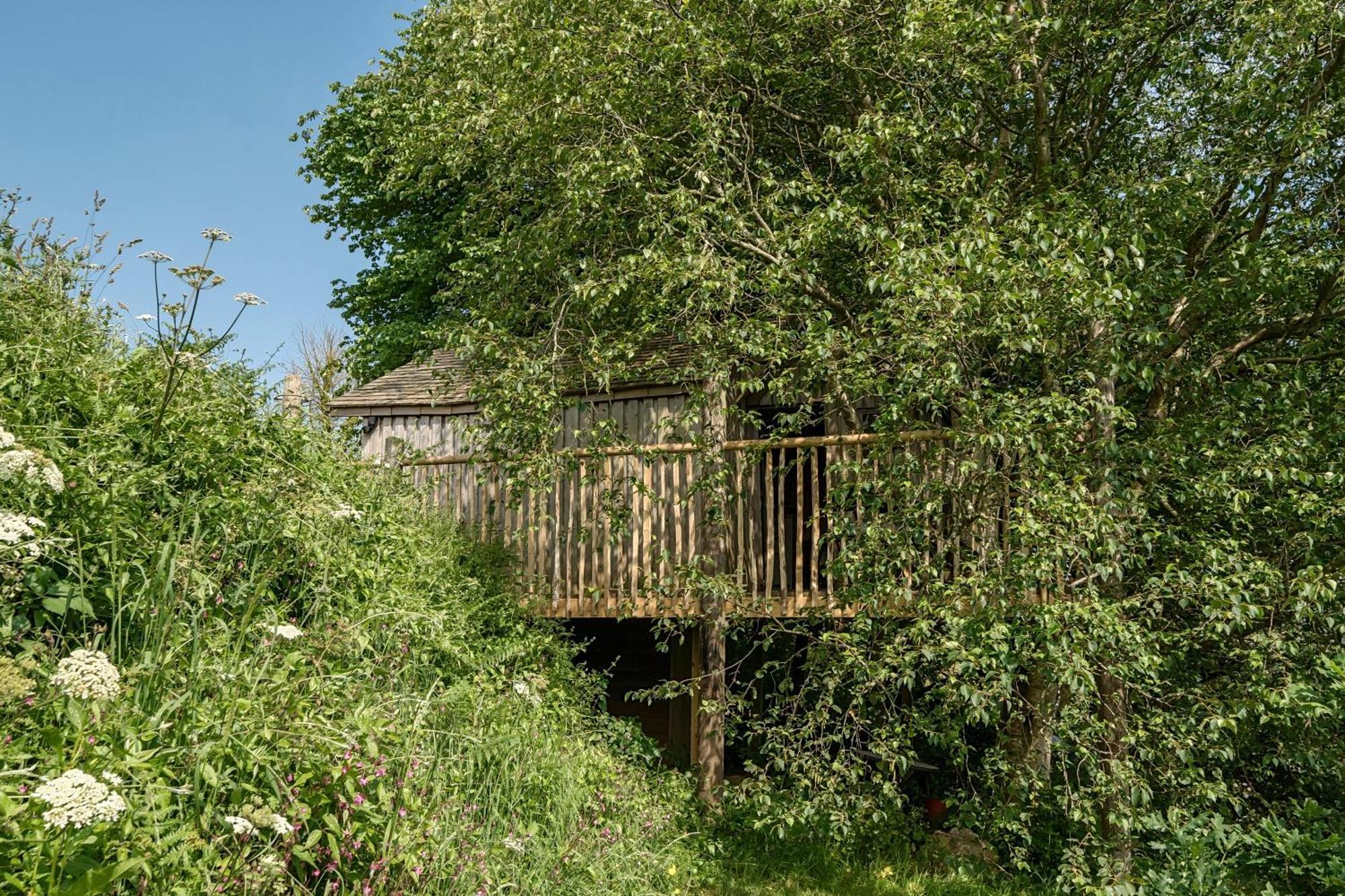 הוילה The Treehouse At Salcombe Farm מראה חיצוני תמונה