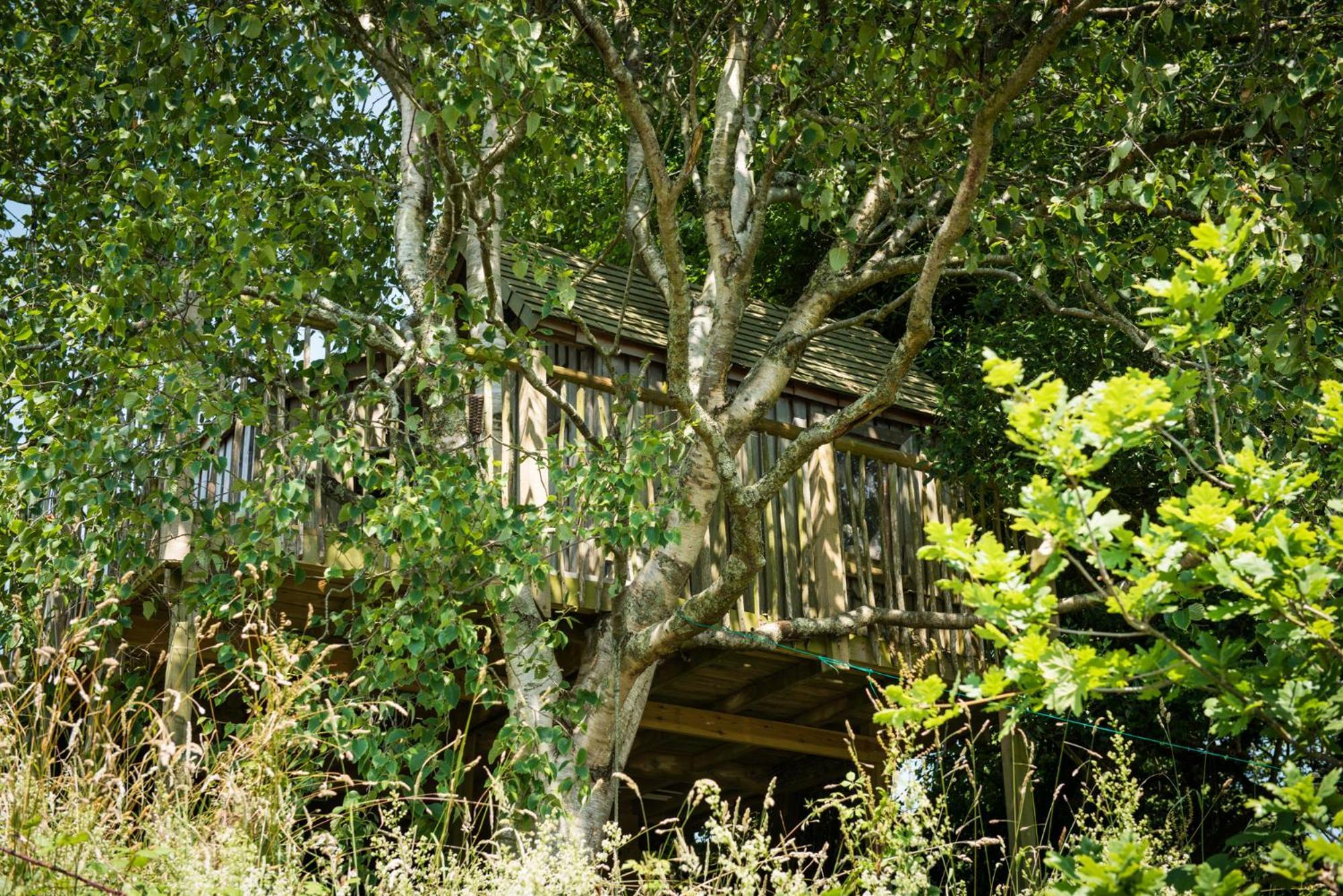 הוילה The Treehouse At Salcombe Farm מראה חיצוני תמונה